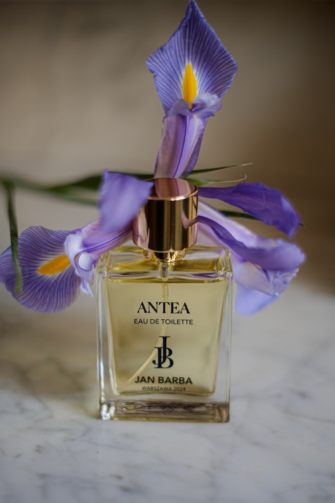 ANTEA EAU DE TOILETTE - perfumy, kosmetyki